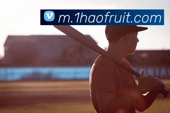 壹号娱乐平台生态图