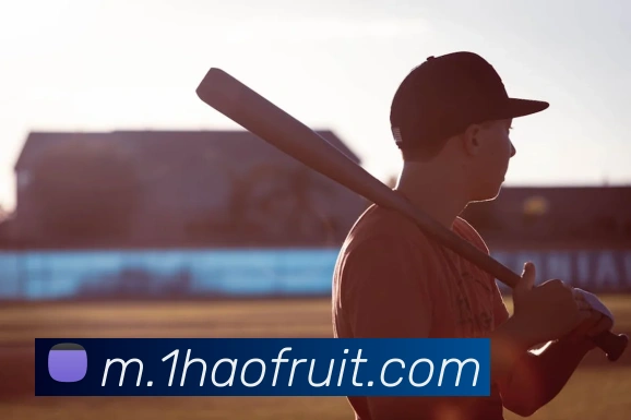 壹号娱乐APP 封面图